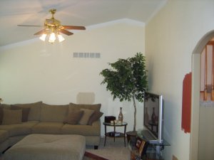 24814_409541900599_2604727_n