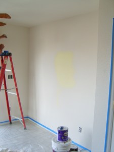 clientbeforepics 051