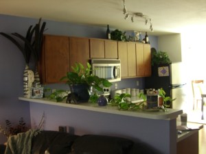 martinez after pics (8)